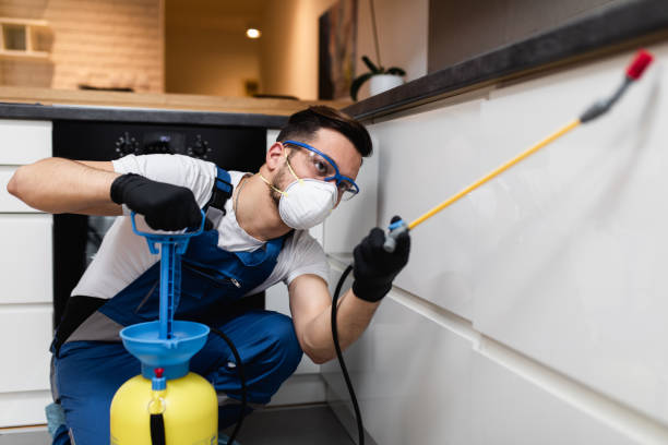 Best Wasp Removal Services  in Thurmont, MD