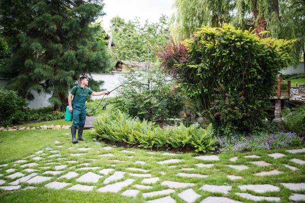 Best Pest Removal Services  in Thurmont, MD