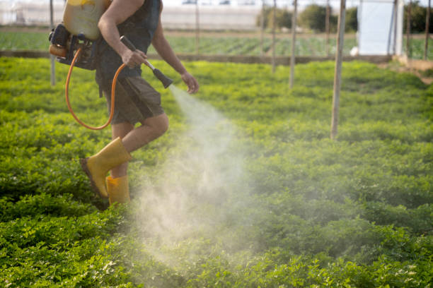 Best Local Pest Control Services  in Thurmont, MD