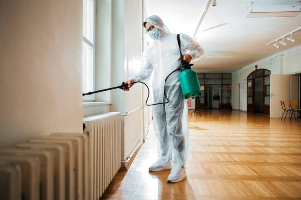 Best Mosquito Control Services  in Thurmont, MD