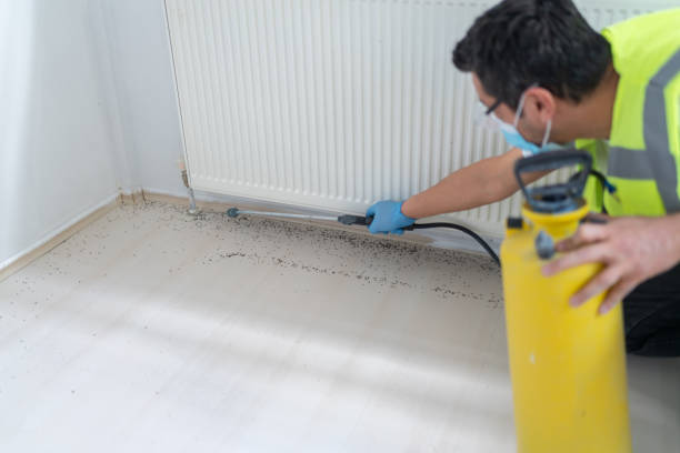Trusted Thurmont, MD Pest Control Experts